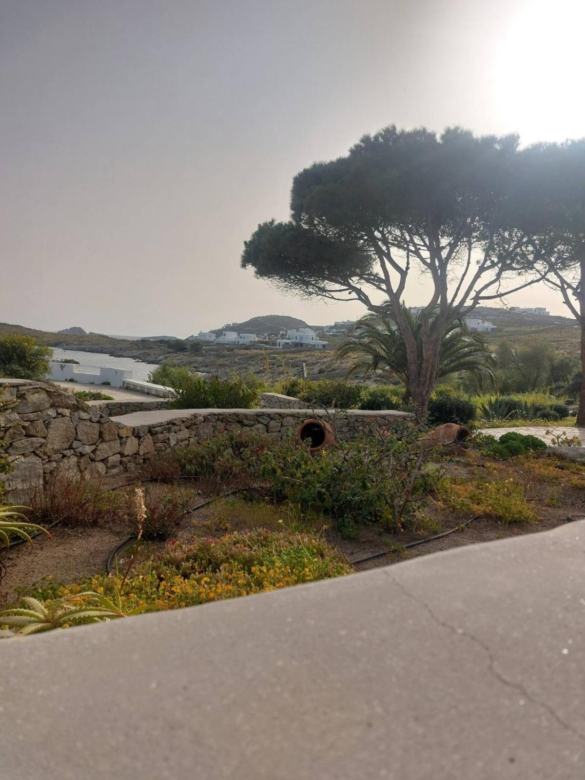 Mykonian House With Shared Pool Villa Ornos  Dış mekan fotoğraf