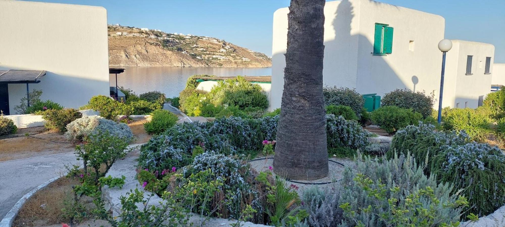 Mykonian House With Shared Pool Villa Ornos  Dış mekan fotoğraf